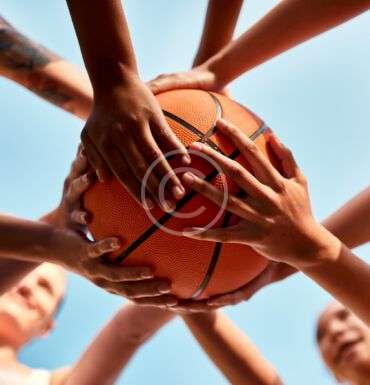 What makes a winning culture in basketball clubs